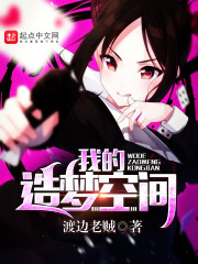 我的造梦空间同人