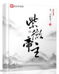紫微小说女主