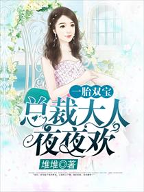 一胎双宝总裁大人夜夜欢 小说