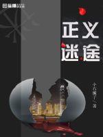 正义迷途全文免费阅读