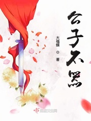 公子不器 小说