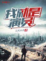 我就是演员讲的什么