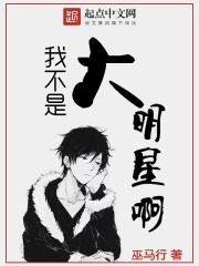 我不是大明星下载下书网