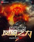 某美漫的凤凰之力小说全本免费阅读