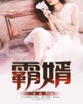 霸婿下山小说免费