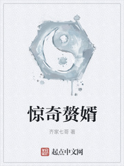 惊奇赘婿齐天