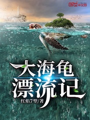 大海海龟的图片
