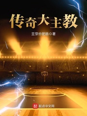 爱门大主教 小说