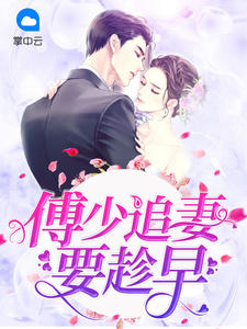 傅少追妻很很爱