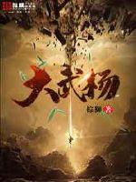 主人公叫武扬的小说