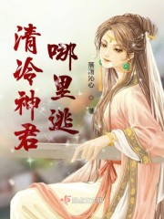 清冷女神的专宠 小说