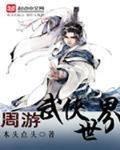 周游武侠世界小说全本免费阅读
