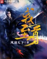 我是至尊小说免费听书