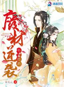 《不正经王爷》小说