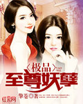 妖孽修真弃少完本