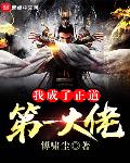 我成了正道第一大佬 顶点