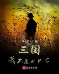 三国我真不是npc