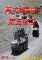 随性的书