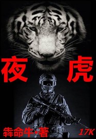 夜虎小说免费阅读无弹窗
