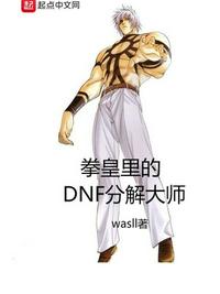 拳皇里的dnf分解大师txt下载精校