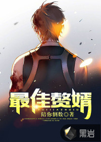 赘婿小说精校版TXT
