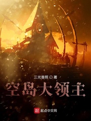 空岛大领主全本下载