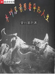 木叶s忍