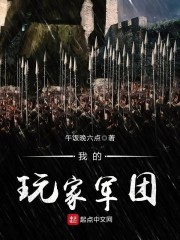迷你军团玩家视频