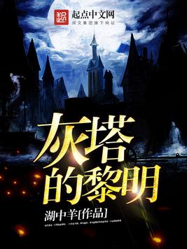 黎明塔txt全本