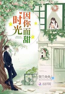 时光因你而甜小说