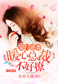 小说豪门暖媳