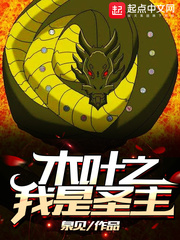木叶之我是圣主小说全本阅读