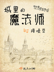 城里的魔法师 百度网盘