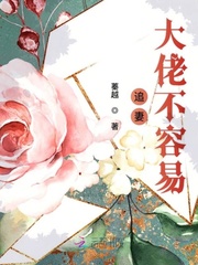 大佬追妻不择手段txt百度云