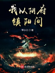 我以阴府镇阳府