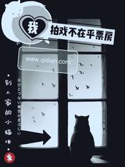 我拍戏不在乎票房小说txt免费