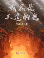 我真的是正道 小说