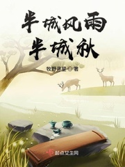 半城风雪歌曲