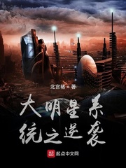 男主叫北宫辰的小说