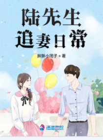陆先生宠妻百分百全文阅读