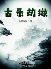 古录劫缘小说免费阅读下载