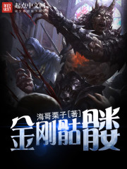 金刚骷髅小说百度百科
