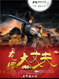 龙婿大丈夫TXT全文下载