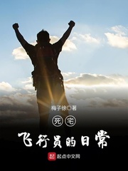 死宅飞行员的日常小说全文免费阅读下载