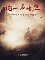 关于暗卫的职业素养全文