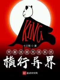 小说十三幺简介