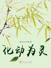 化静为动是什么玩意儿啊