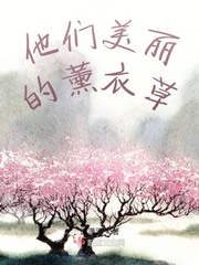 美丽的紫色薰衣草