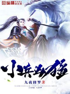 主人公是小兵的小说