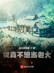 我真的不想做大佬
